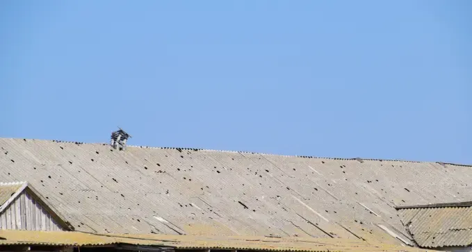 arrelgar tejados con goteras a precio económico Becerreá, Lugo